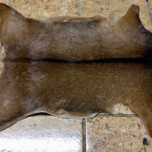 Exotic Brown With Black Backbone Hair on Goatskin. Rugs. EX19