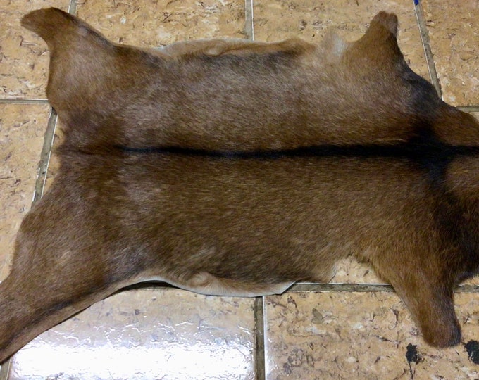 Exotic Brown With Black Backbone Hair on Goatskin. Rugs. EX19