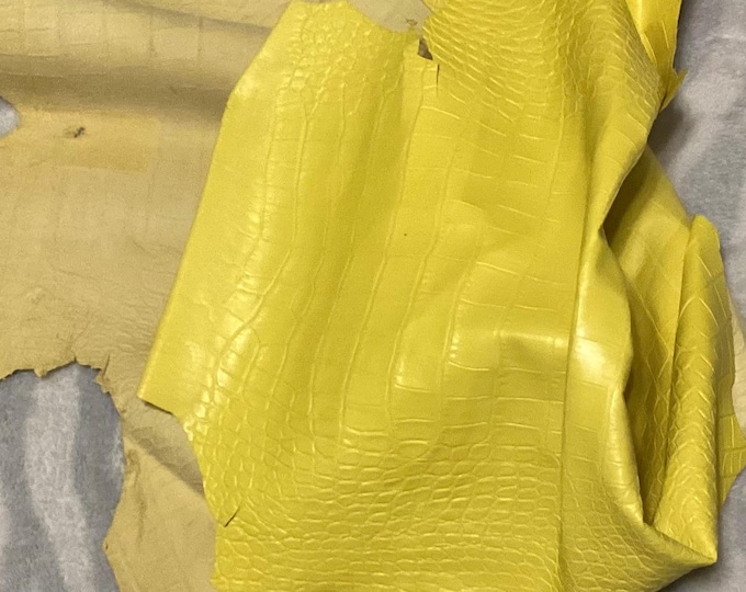 9 square feet Yellow Embossed Gator Leather Cowhide Remnant,  CA720