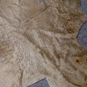 May include: A light brown cowhide rug with a crocodile-embossed pattern. The rug has a natural, rustic look and feel.
