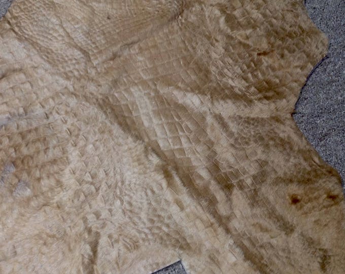Sand Colored Embossed Gator Hair on Cowhide Remnants DD2159