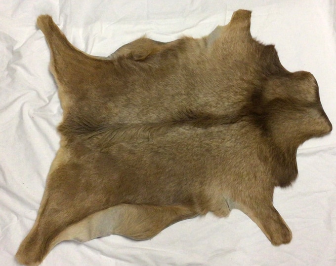 Exotic Brown Hair on Goatskin,  Rug.  Leather Hide,  EX33