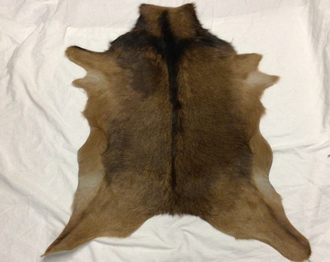 Exotic Tawny Brown Hair on Goatskin.  EX28
