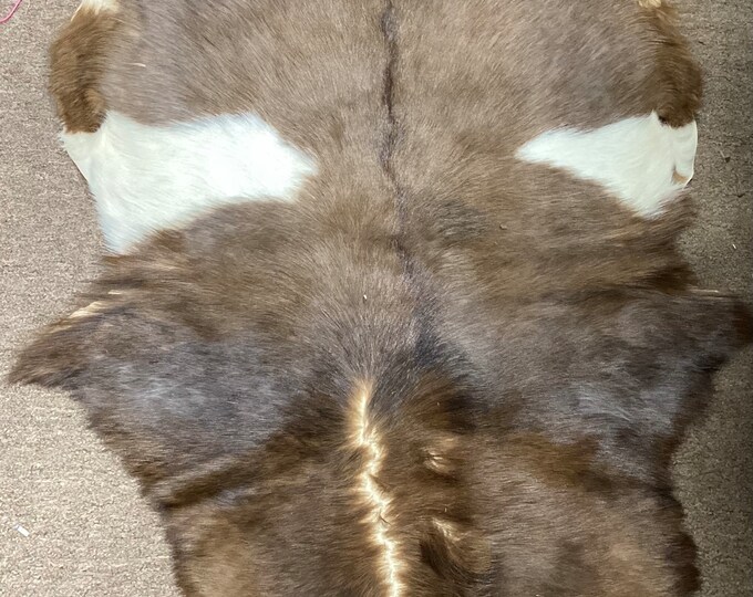 New Zealand  Brown and White Hair on Goat Hide. Rugs.  Crafting Leather.  NZ61
