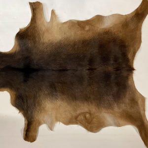 Brown and Black Exotic Hair On Goatskin. Rug. leather hide.  EX10
