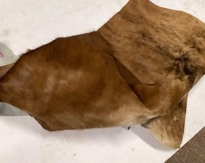 Brindle Hair on Cowhide Remnant. Leather Pieces. Cowhide. Craft leather,  CL52518