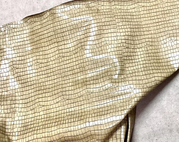 Dirty Cream Embossed Gator Leather Cowhide Remnant.  LAC131