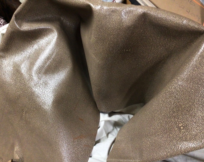Taupe Metallic Embossed Stingray Leather Cowhide Remnant, 10107