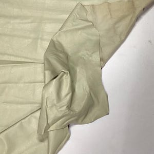 Parchment Leather Lambskin. Leather Hide, LAMB8037