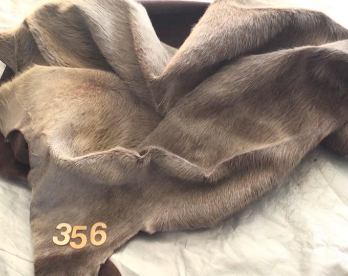 Light Brown Hair on Cowhide Remnants. Crafting Leather. Upholstery Leather, HOHR356