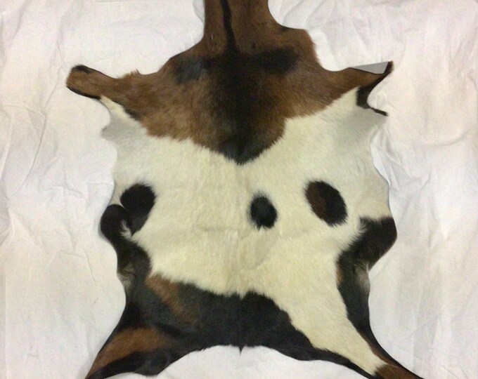 Tri Color Exotic Hair on Goatskin. leather hides.  EX12