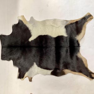Tri Color Exotic Hair On Goatskin. Rugs. Leather Hides, EX6