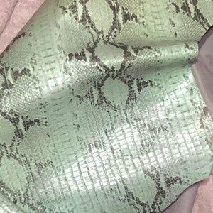 May include: A piece of mint green faux leather with a snakeskin pattern. The material is folded, revealing the underside and texture. The snakeskin pattern is a mix of light green and dark grey.