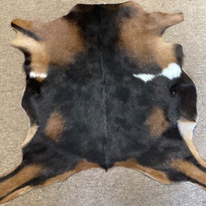 Brown and Black Exotic Hair on Goatskin.  Leather rug. EX3