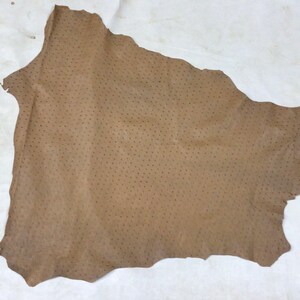 May include: A piece of brown ostrich leather with a dotted pattern.