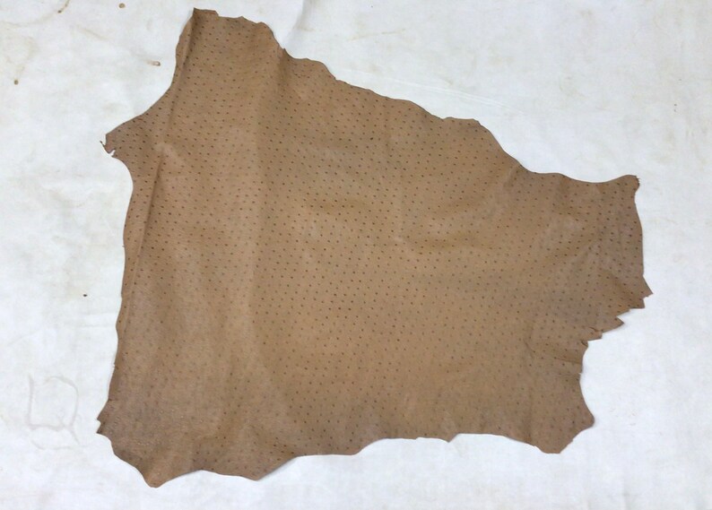 May include: A piece of brown ostrich leather with a dotted pattern.