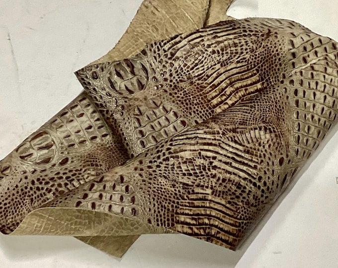 Brown Embossed Horn Back Gator Leather Cowhide Remnants. Crafting Leather,  CL6311