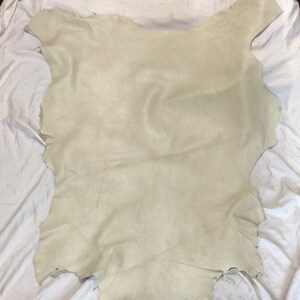 Parchment White Distressed Leather Lambskin. TOWN504 image 2