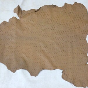 May include: A piece of brown leather with a dotted pattern. The leather is irregularly shaped and has a rough texture.