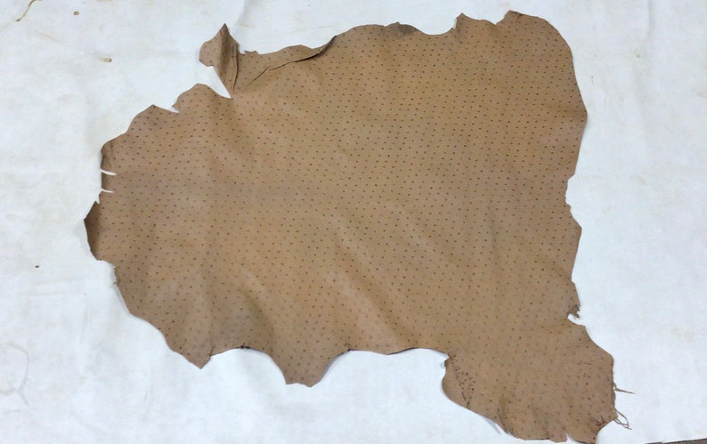 May include: A piece of brown leather with a dotted pattern. The leather is irregularly shaped and has a rough texture.