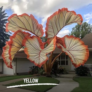 100 semi di Caladium giallo: rara pianta tropicale da giardino ombreggiato