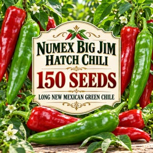 Peut inclure: Une étiquette de sachet de graines avec le texte Numex Big Jim Hatch Chili 150 Seeds Long New Mexican Green Chile, entourée d'un affichage vibrant de nombreux piments longs, rouges et verts brillants poussant sur des plantes feuillues avec des fleurs blanches.