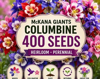 400 McKana Giants Columbine Seeds Heirloom Perennial Mixed Colors Aquilegia Flower Seeds for Cottage Garden Pollinators