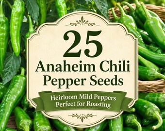 25 semi di peperoncino Anaheim / Semi di peperoncino dolce di varietà antica / Peperoncino verde per arrosti, salsa e orti domestici