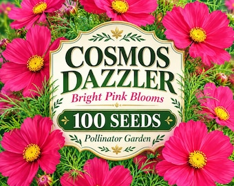 100 Samen der Kosmee 'Dazzler' – Leuchtend rosa Blüten, insektenfreundliche Gartenblumen, Cosmos bipinnatus-Samen zum Anpflanzen