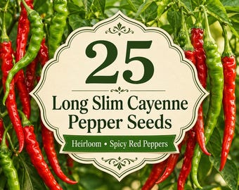25 Long Slim Cayenne Pepper Seeds | Heirloom Spicy Red Pepper Seeds | Hot Cayenne Chili | Vegetable Garden Seeds