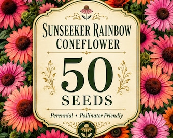 50 Sunseeker Rainbow Coneflower Seeds, Echinacea Seeds, Colorful Perennial Flowers, Pollinator Friendly Garden, Non-GMO Flower Seeds