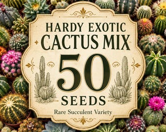 Mélange de 50 graines de cactus exotiques rustiques | Variété rare de plantes succulentes | Graines de cactus résistantes à la sécheresse | Plantes du désert | Sans OGM