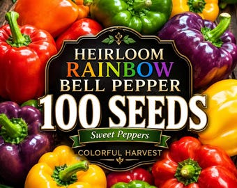 100 Heirloom Rainbow Bell Pepper Seeds, Mixed Color Sweet Pepper Seeds, Non-GMO Vegetable Garden Seeds, Red Yellow Orange Purple Peppers