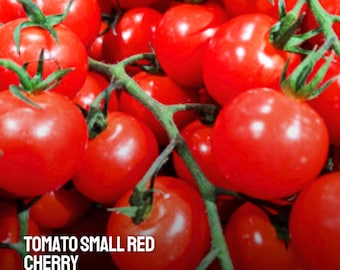 100 Small Red Cherry Tomato Seeds | Heirloom Non-GMO | Easy Grow | Sweet Garden Tomatoes