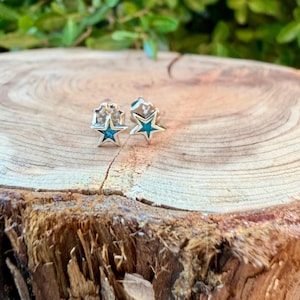 May include: A pair of silver star-shaped stud earrings with turquoise centers. The earrings are displayed on a wooden surface, with green foliage in the background. The earrings are small and delicate.