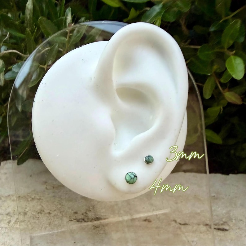 Pu&ograve; includere: Un modello di orecchio bianco con due piccoli orecchini rotondi. Un orecchino &egrave; di 3 mm, l'altro di 4 mm. Gli orecchini hanno un design maculato verde e blu. Il testo "3mm" e "4mm" &egrave; scritto in verde.