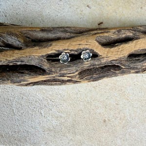 May include: A pair of small, silver-toned stud earrings shaped like five-petaled flowers. Each earring features a central dot surrounded by rounded petals with a metallic finish, resting within the natural crevices of a piece of driftwood.