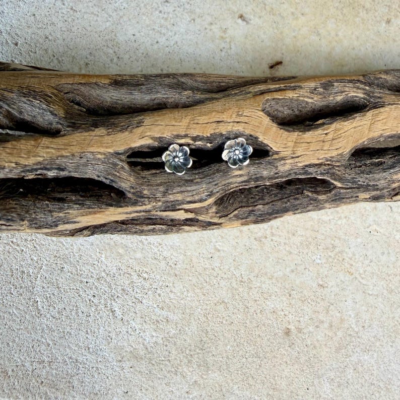 May include: A pair of small, silver-toned stud earrings shaped like five-petaled flowers. Each earring features a central dot surrounded by rounded petals with a metallic finish, resting within the natural crevices of a piece of driftwood.