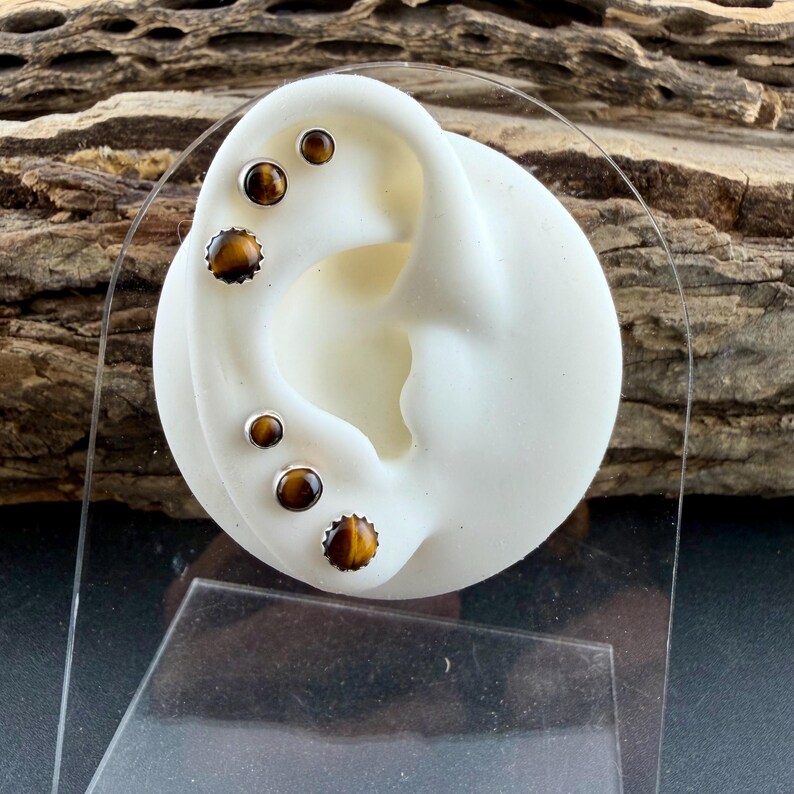 Puede incluir: Un conjunto de cinco pendientes de bot&oacute;n redondos con piedras preciosas de ojo de tigre pulidas engastadas en metal plateado. Los pendientes se muestran en un modelo de oreja blanco, exhibiendo tama&ntilde;os variados de las piedras.