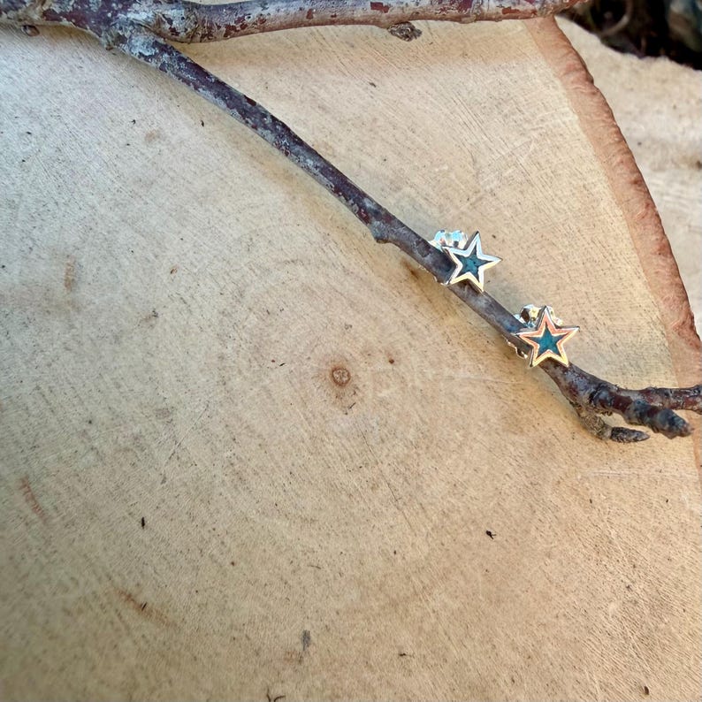 May include: A pair of star-shaped stud earrings with a silver-colored outline and a teal-colored center. The earrings are displayed on a dark brown twig, set against a light brown wooden surface.
