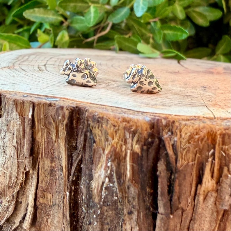 May include: A pair of silver-toned stud earrings. Each earring features a textured design with small, circular indentations. The earrings are displayed on a wooden surface with green foliage in the background.
