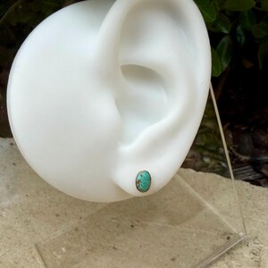 May include: A single turquoise stud earring with a silver-colored bezel is displayed on a white ear model. The oval-shaped stone has a mottled blue-green color. The earring is set against a blurred background of greenery.