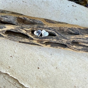 May include: A pair of small, silver-colored heart-shaped stud earrings. Each earring features a smooth, reflective surface with a subtle, etched line detail that creates a stylized, abstract pattern across the metal heart shape.