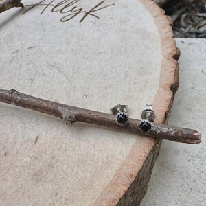 May include: A pair of silver stud earrings with black gemstone centers. The earrings are displayed on a wooden surface with a branch. The word "Allyk" is written in cursive on the wood.