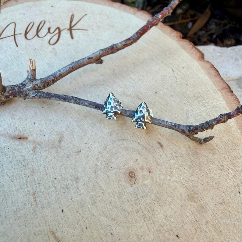 May include: A pair of silver-colored arrowhead stud earrings. The earrings are displayed on a small branch, set against a light wood background. The text "Allyk" is visible in the upper left corner.