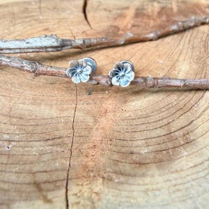 May include: A pair of silver stud earrings shaped like small five-petaled flowers. Each earring features a central dot and delicate petal indentations, resting on a thin, light brown wooden branch with a natural textured surface.