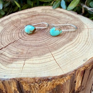 Pu&ograve; includere: Un paio di orecchini in turchese a forma di goccia con ganci in argento. Ogni orecchino presenta una pietra di turchese liscia e lucida con venature naturali di matrice marrone, incastonata in una semplice montatura in argento con gancio.