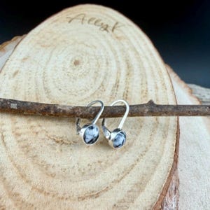 May include: A pair of silver leverback earrings with oval-shaped, black and white speckled stones. The earrings are displayed on a small, brown twig against a wooden background. The word "Ally K" is faintly visible on the wood.