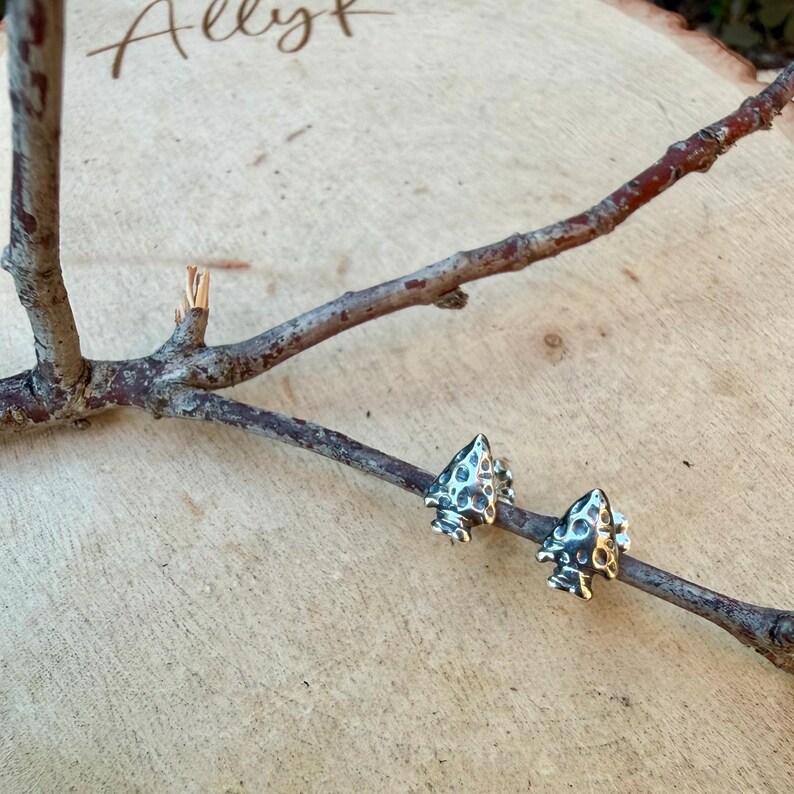 May include: A pair of silver-colored arrowhead stud earrings. The earrings are detailed with a textured surface and are displayed on a small tree branch against a light wood background. The word "Ally" is written in cursive in the upper left corner.