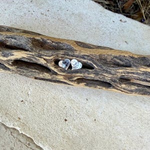 May include: A pair of small, polished silver-toned heart-shaped stud earrings. Each earring features a smooth, reflective surface with a subtle, slightly irregular outline, resting within a natural crevice of a textured piece of wood.